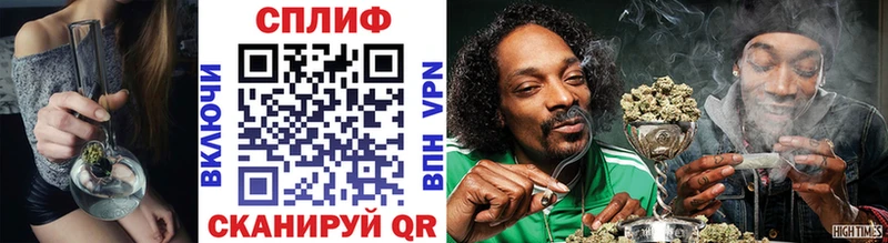Купить где  Дагестанские Огни  Конопля семена 